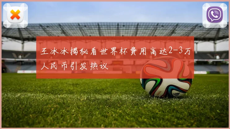 王冰冰揭秘看世界杯费用高达2-3万人民币引发热议