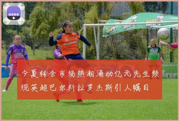 今夏转会市场热潮涌动亿元先生频现英超巴尔科拉罗杰斯引人瞩目