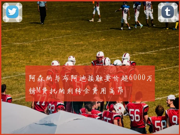 阿森纳与布阿迪接触要价超6000万镑M费托纳利转会费用高昂